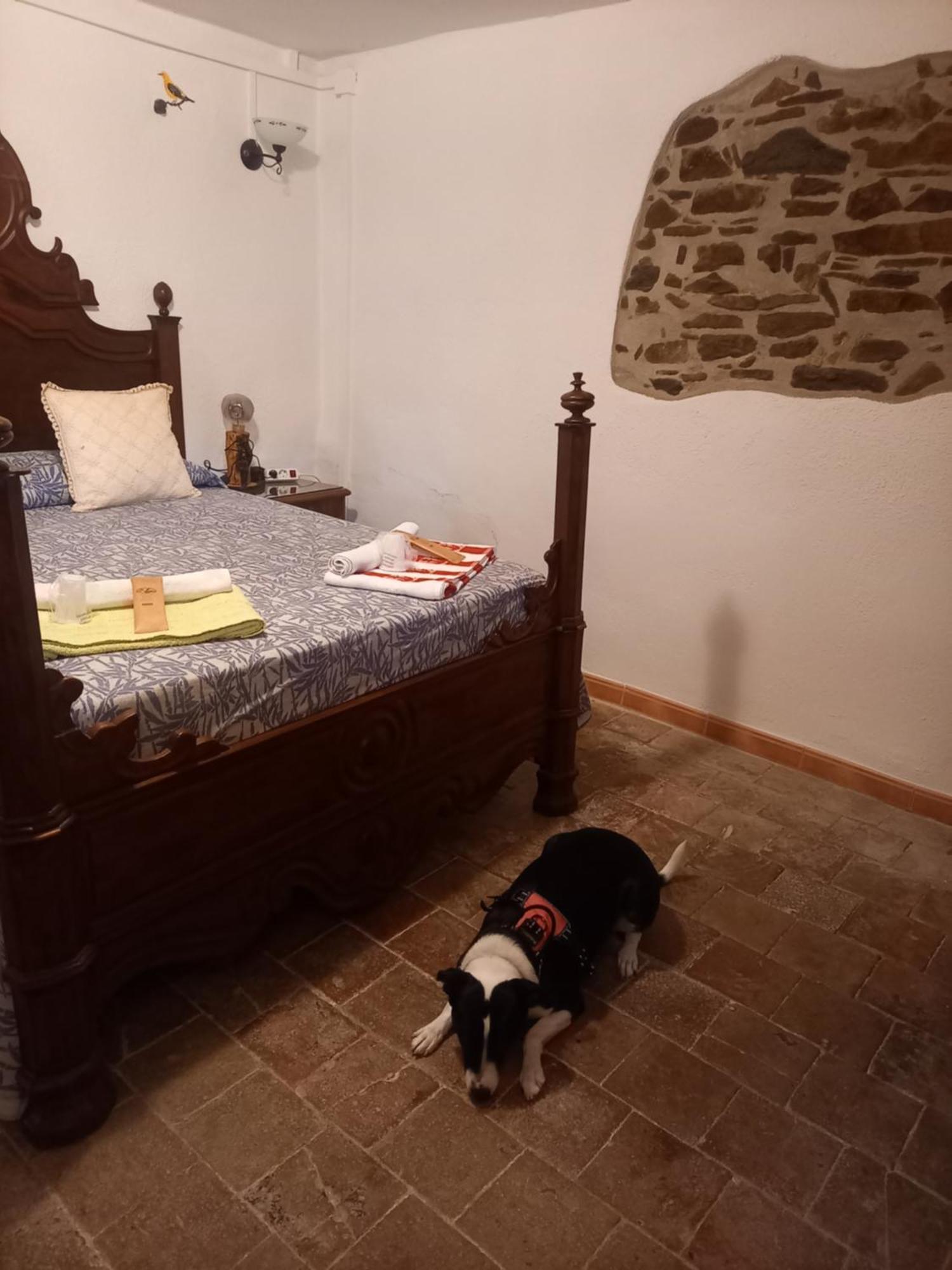 Hostal Rural Mas Blanc San Martín de Centellas Екстериор снимка
