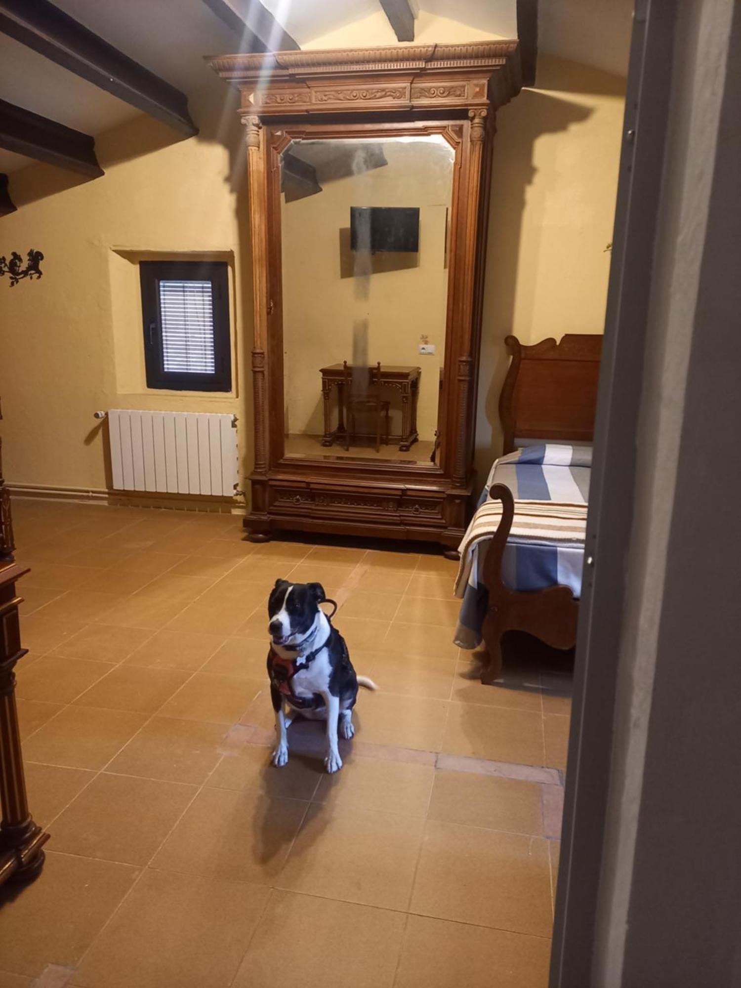 Hostal Rural Mas Blanc San Martín de Centellas Екстериор снимка