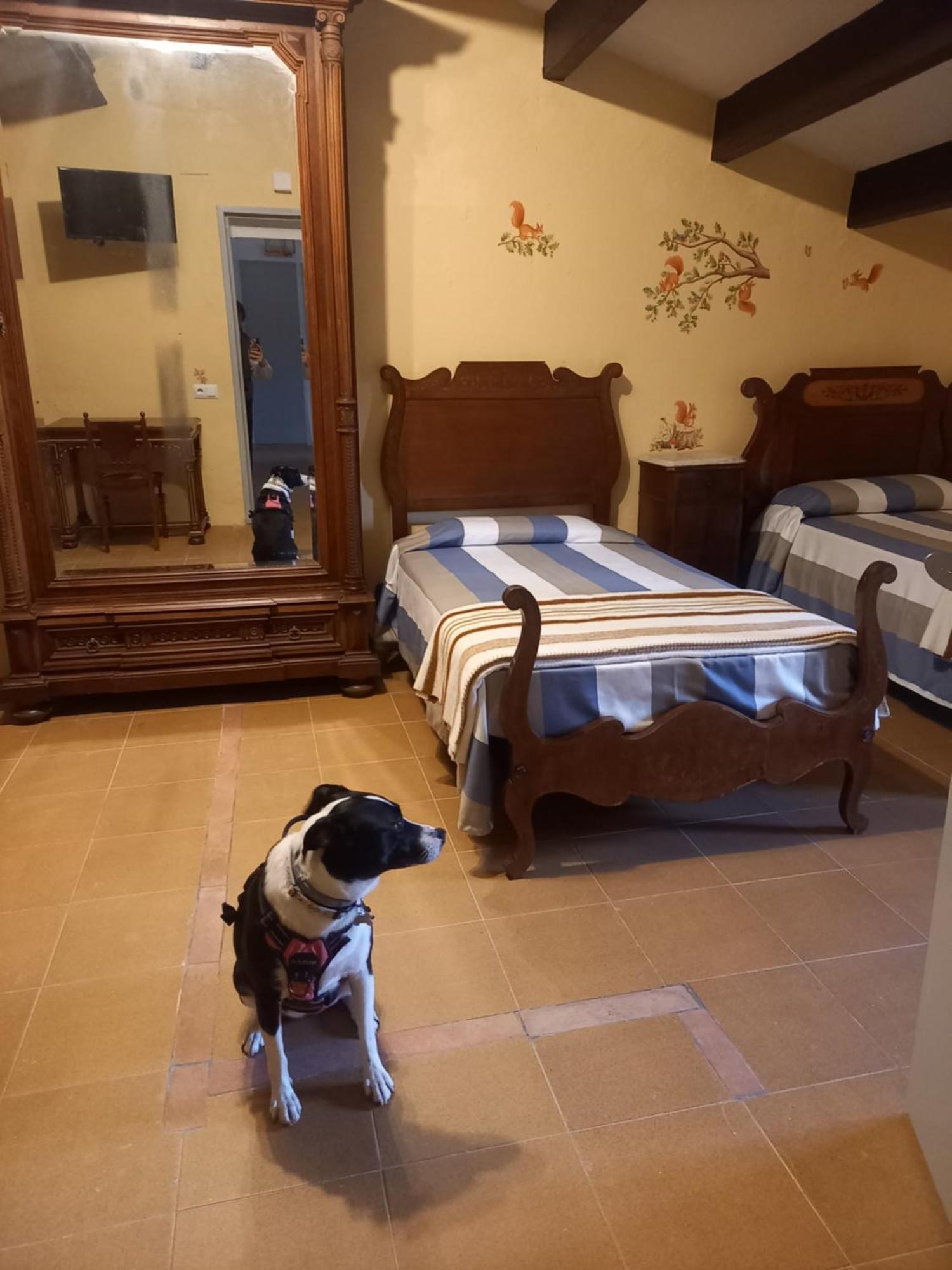 Hostal Rural Mas Blanc San Martín de Centellas Екстериор снимка