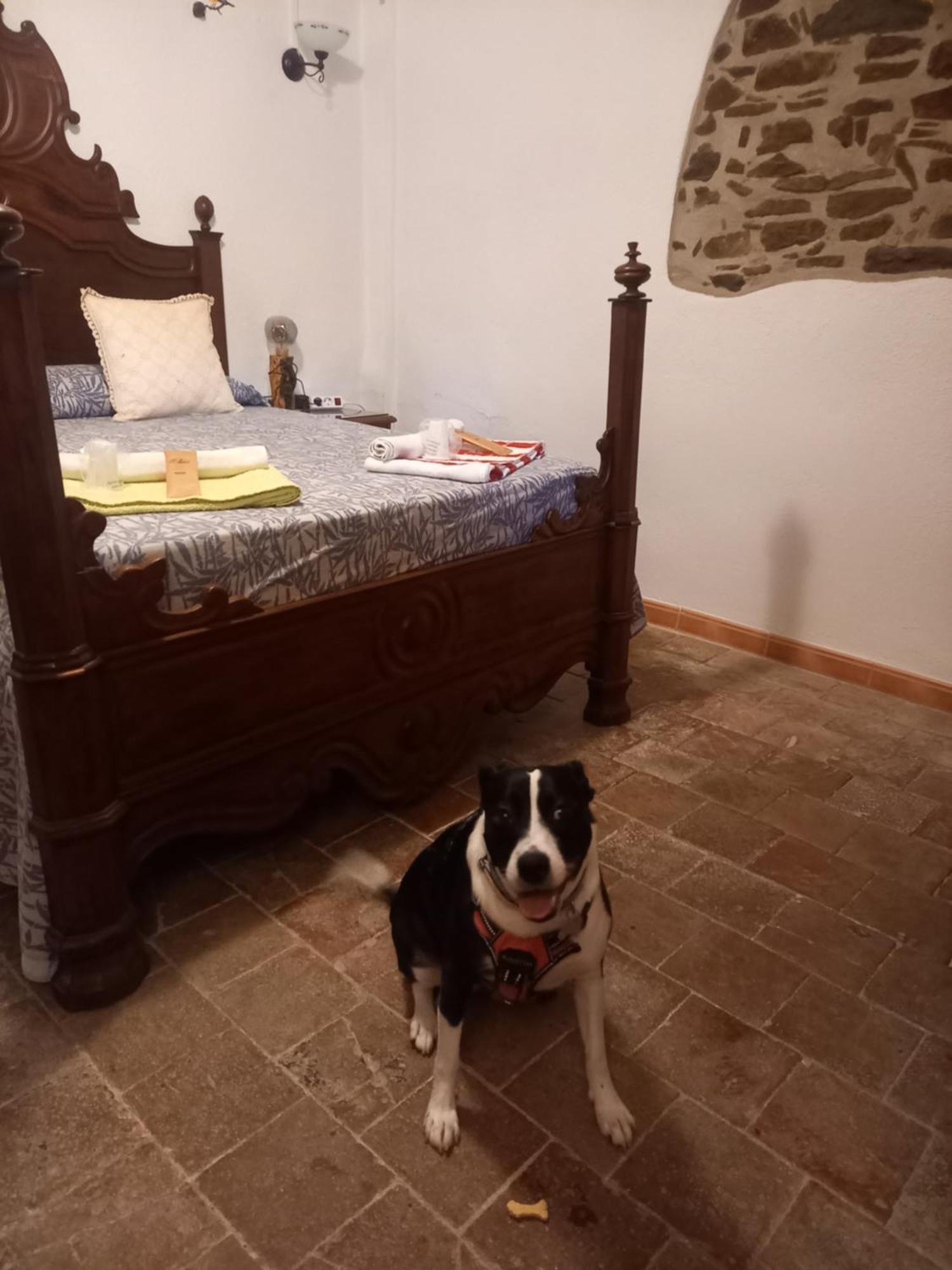 Hostal Rural Mas Blanc San Martín de Centellas Екстериор снимка